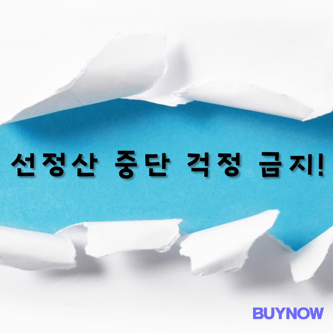 선정산 중단 걱정 금지를 안내하는 바이나우