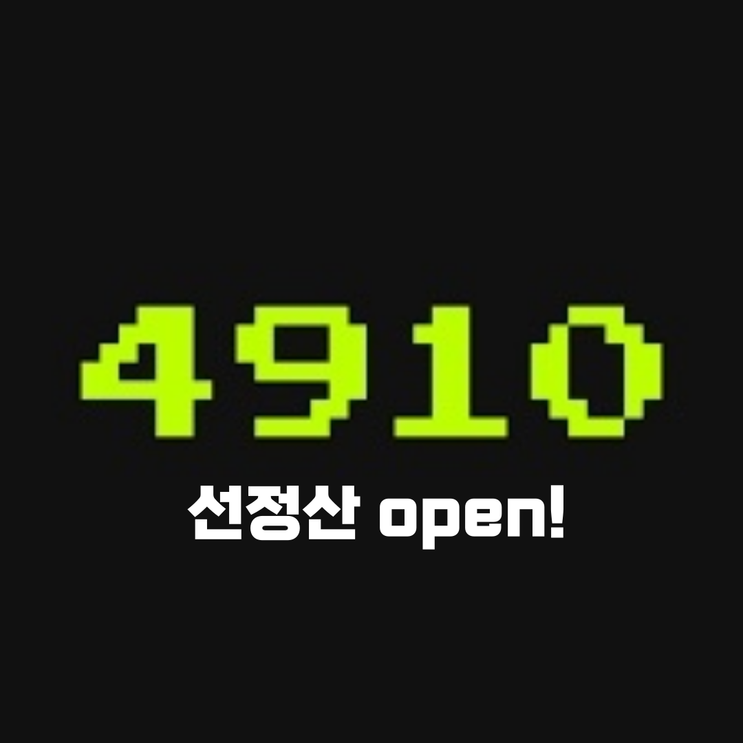 4910 선정산